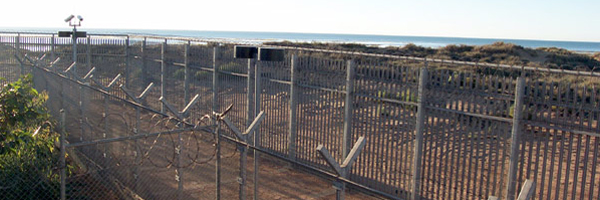 DETENTION BECOMES A DEATH SENTENCE; ANGER GROWS AT CURTIN