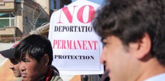 Last minute legal intervention stops removal